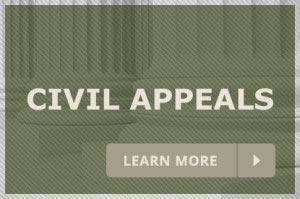 Civil Appeals Attorney in Gainesville, Florida Family And Business Law Office